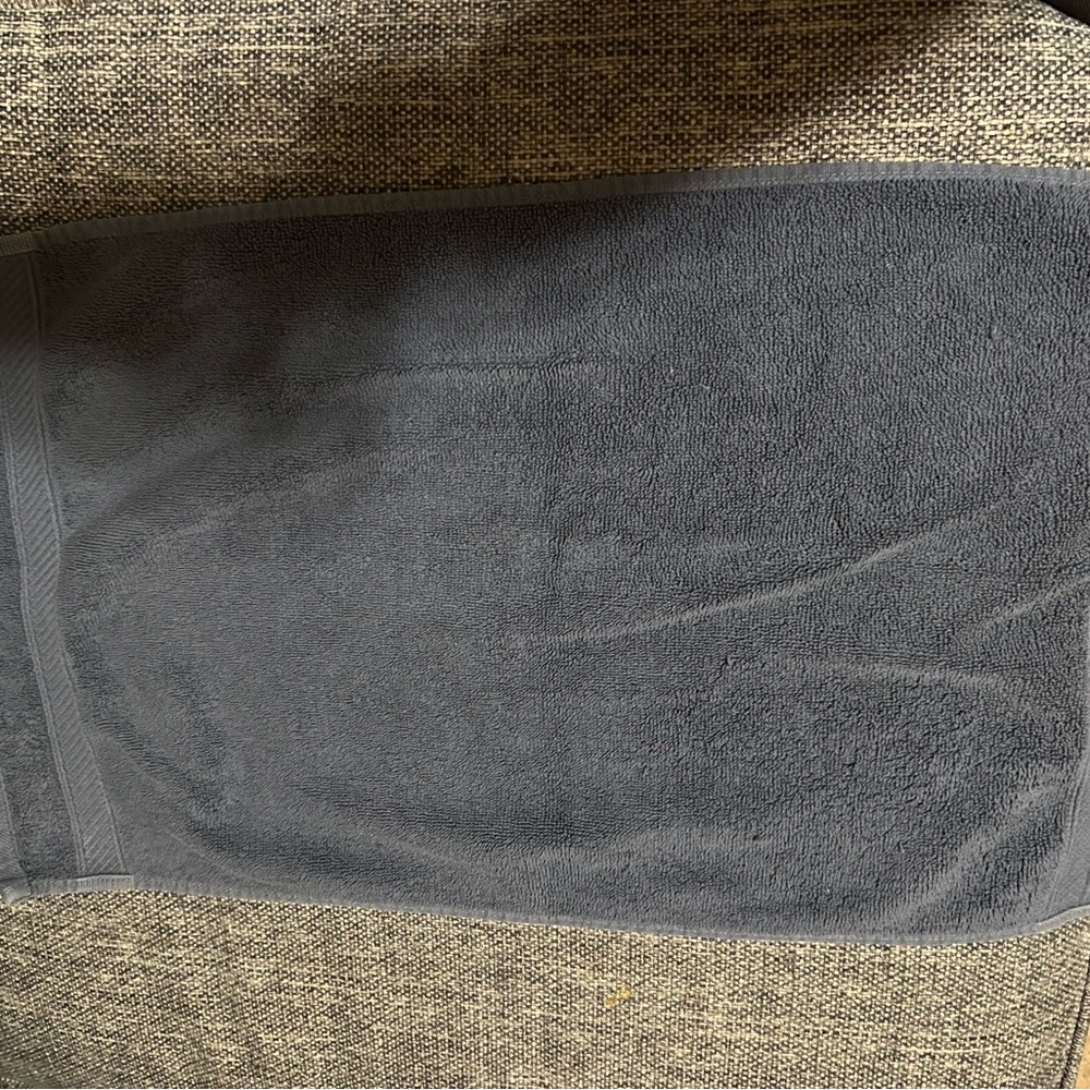 Set of Two Wamsutta Blue Plush Hand Towels